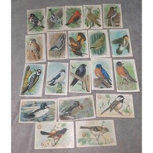 Lot Of 20 Antique Arm & Hammer Useful Birds of America Card From Various Series